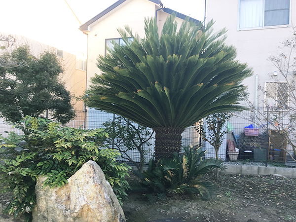 浜松市中区S様3
