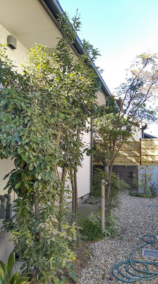 浜松市東区T様2
