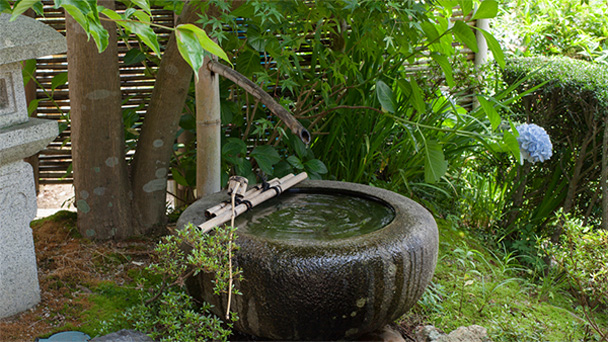 浜松市浜名区寺院（宝林寺坪庭）統合